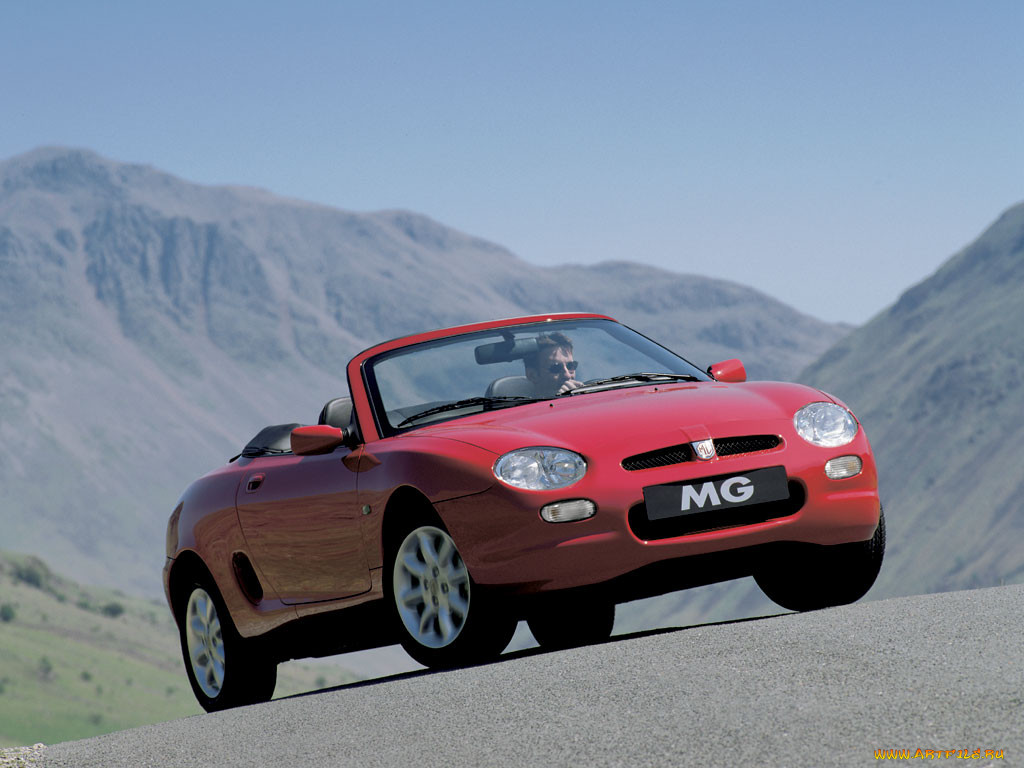 mg, 